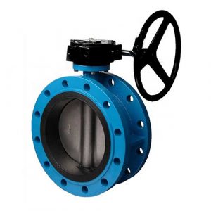 Concentric Butterfly valve