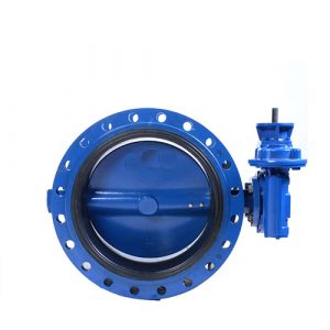 Flange Concentric Disc Butterfly Valve