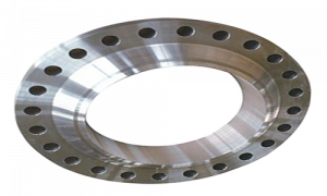 Ring Flange
