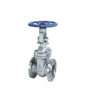 Cast Steel Gate Valve