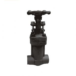 API 602 Forged Iron Gate Valve