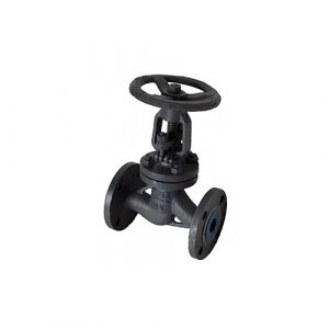 API 602 Forged Steel Globe Valve