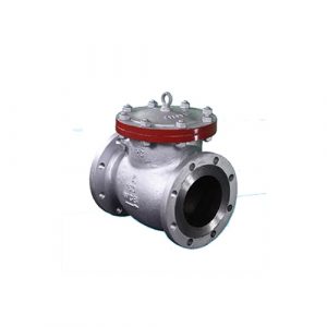 Butt-Weld Made Swing Type Check Valves