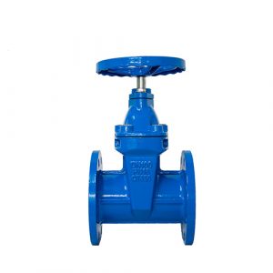 Cast iron gate Valve