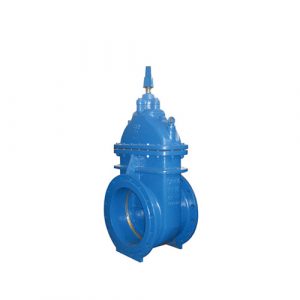 Cast Iron Non-rising stem Gate Valve