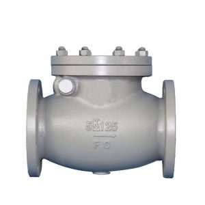 Cast Iron Swing Check Valve