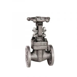 Forged Steel Gate Valve