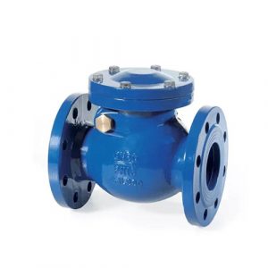 Full Bore Flanged Swing Check Valve