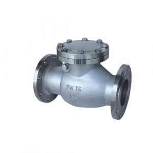 Non Return Swing Check Valve