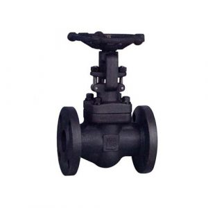 Pdusa forged steel globe valves