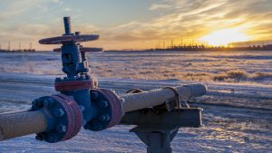 eccentric plug valves