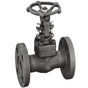 forged steel gate valve