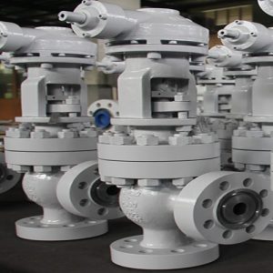 pdusa ANGLE-GLOBE Valve