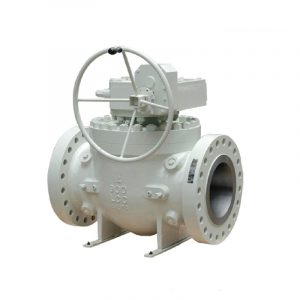 pdusa Top Entry Ball valve