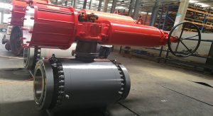 trunnion ball valves