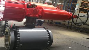 trunnion ball valves